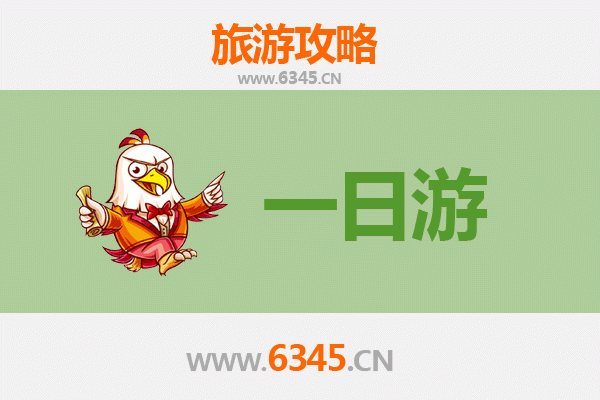 聊城茌平自驾一日游攻略：探索鲁西古韵与生态风情