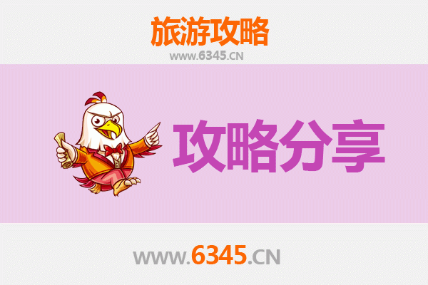 聊城茌平旅游攻略：跟团与自由行全方位对比