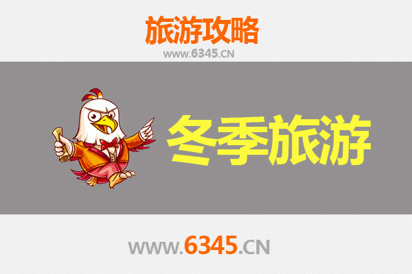 聊城茌平冬季旅游攻略：探寻鲁西古韵，尽享冬日温情